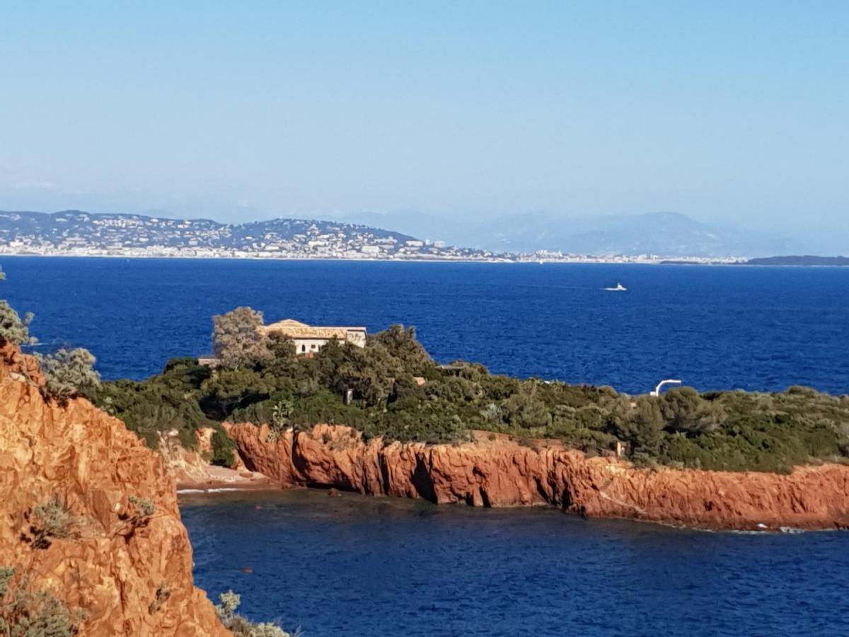 Frejus Plage T2, Piscine, Parking, Plages A 200M Exterior photo